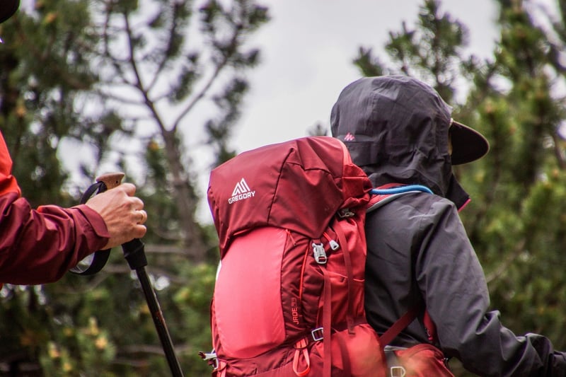 Mindful Hiking Excursion